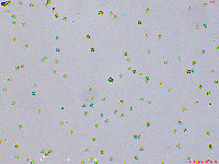 algaex40-healthy-infected-raw-vol.10 project thumbnail