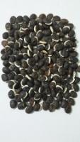 Black Beans project thumbnail