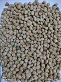 Desi_Chickpea project thumbnail
