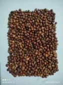 Red Beans project thumbnail