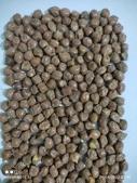 Red Chickpea project thumbnail