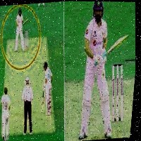 Dataset Image