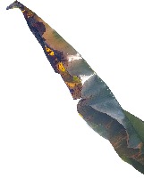 Dataset Image