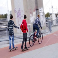 Dataset Image