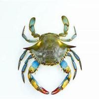 crab-mesu-points-cle project thumbnail