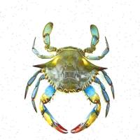 crab-taille project thumbnail