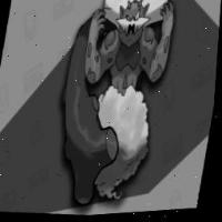 Dataset Image