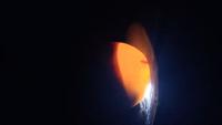 Egg's Age by Candling project thumbnail