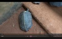 My First Project project thumbnail