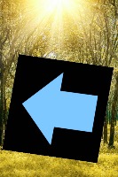 mdp2 project thumbnail