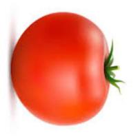 tomato classification project thumbnail