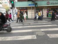 zebra crossings3 project thumbnail
