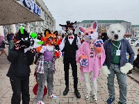 Dataset Image