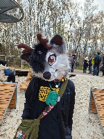 Dataset Image