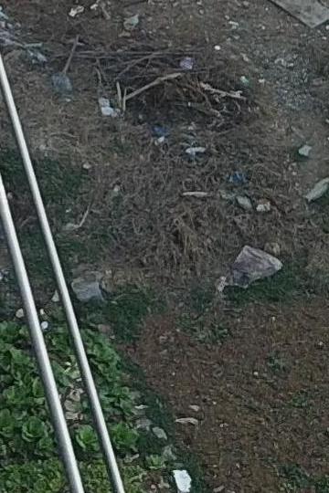 Power Line Detection V2 Instance Segmentation Dataset by ...