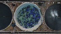 fish_label_poly 3 project thumbnail