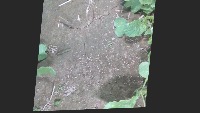 Weed Detection project thumbnail