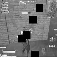 Dataset Image
