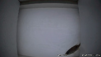 Fish VioFo 2 20220519 project thumbnail