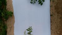 row2_12_45_pm_test3_32_inch_p project thumbnail
