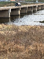 flooding project thumbnail