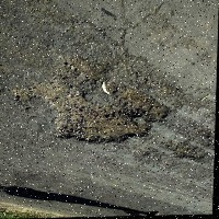 road damage project thumbnail