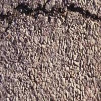 My First Project Instance Segmentation Model by Measureshimeyshimey