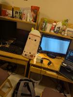 Dataset Image