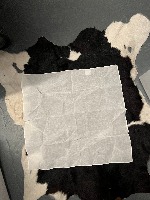 garment_classification project thumbnail