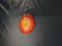 tomato_unripped project thumbnail