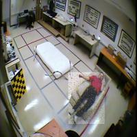 VOC / FALL / Person_Falls project thumbnail