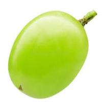 grape project thumbnail