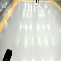 boccia_seg project thumbnail