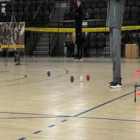 boccia_seg project thumbnail