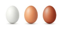 brown egg grading project thumbnail