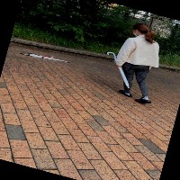 Dataset Image