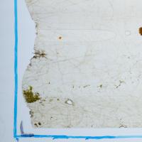 pattym project thumbnail