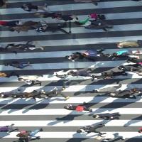 person detection project thumbnail