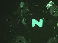 baseA_Z project thumbnail