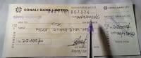 cheque_seg project thumbnail