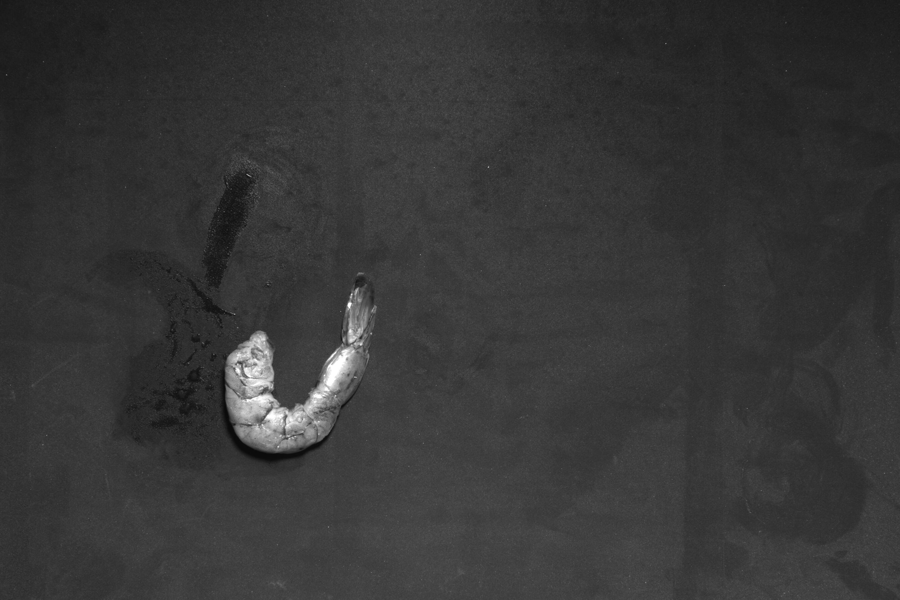 pose Keypoint Detection Model by 3pick