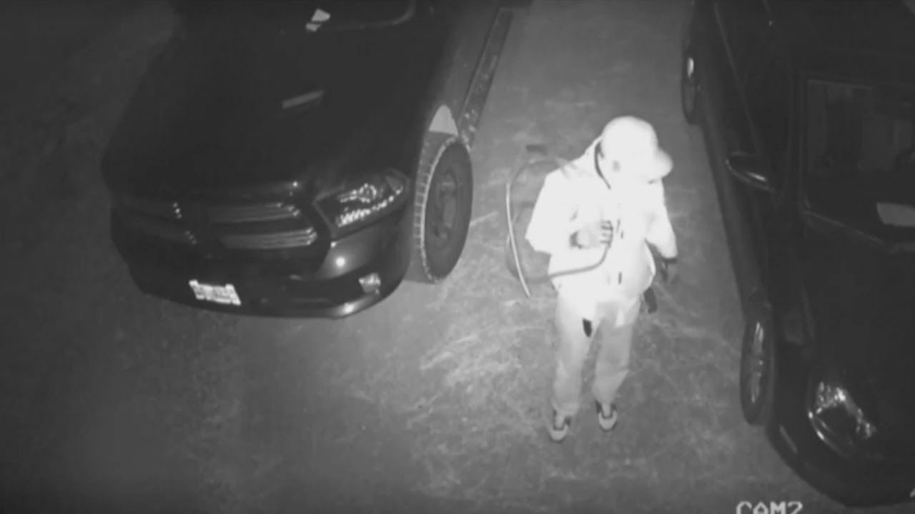 SecurityCam11 Object Detection Dataset by Ricky77142
