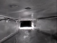 Lamprey project thumbnail