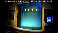 Bradford Fish Window project thumbnail