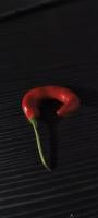 Chili-Segmentation project thumbnail