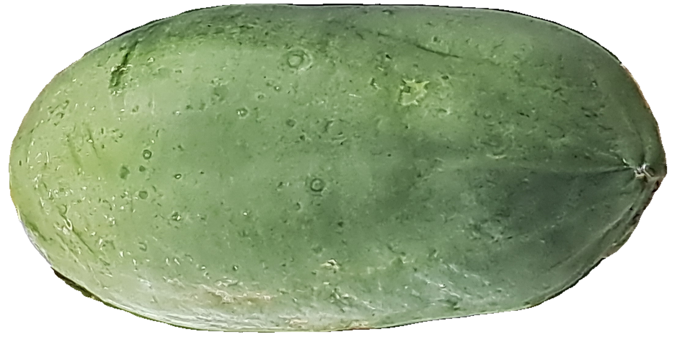 Classification of Papaya Object Detection Dataset by Papaya