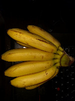 fruit project thumbnail
