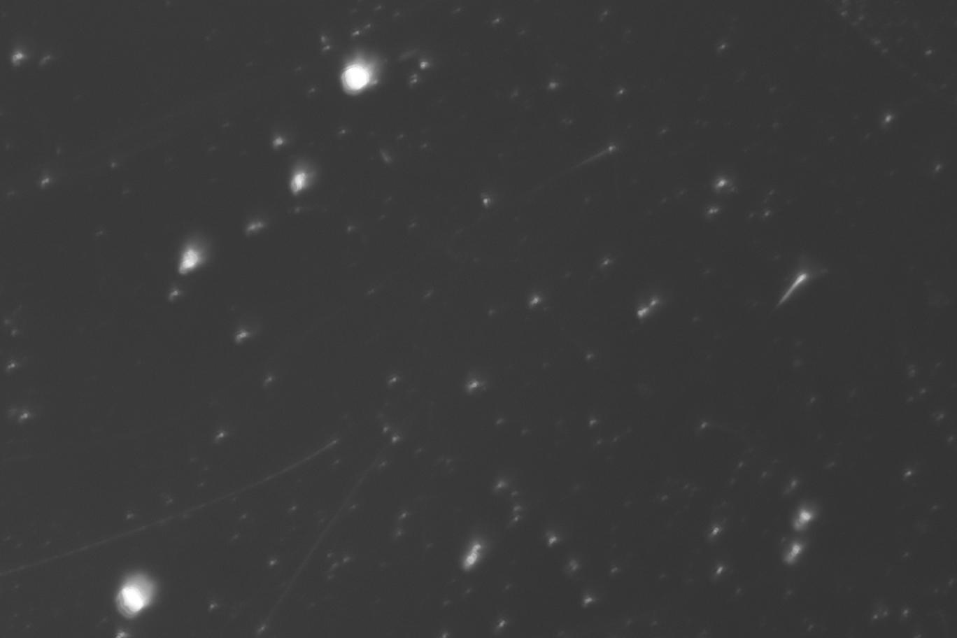 lens-scratches Instance Segmentation Dataset by loicamera