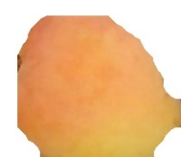 mascaradas project thumbnail