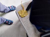 see life project thumbnail